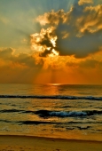 IIP Online Student Photography